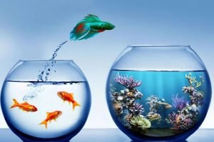 IOT Adoption, Challenges & Opportunities in India