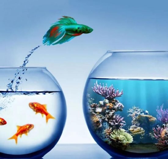 IOT Adoption, Challenges & Opportunities in India