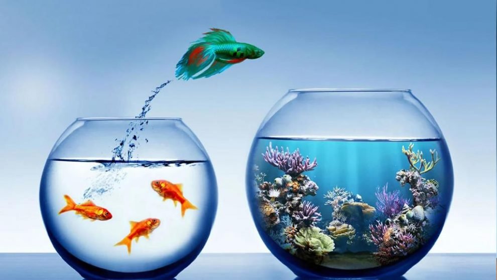 IOT Adoption, Challenges & Opportunities in India